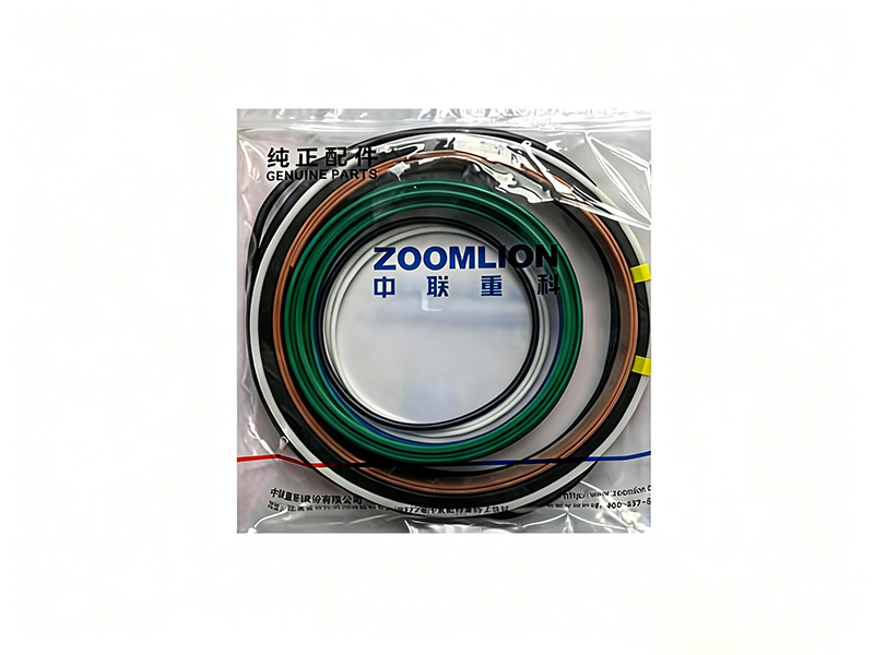 Boom Hydraulic Cylinder Seal Kit 00160720A0400000